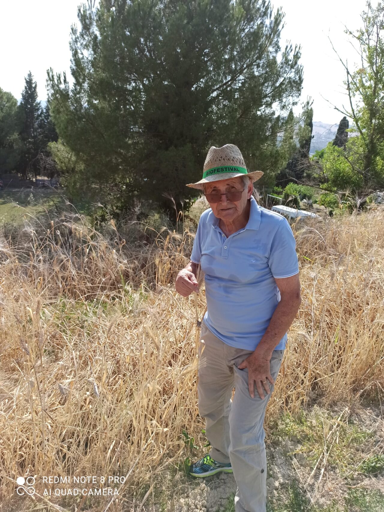 WhatsApp Image 2025-06-16 at 19.03.44