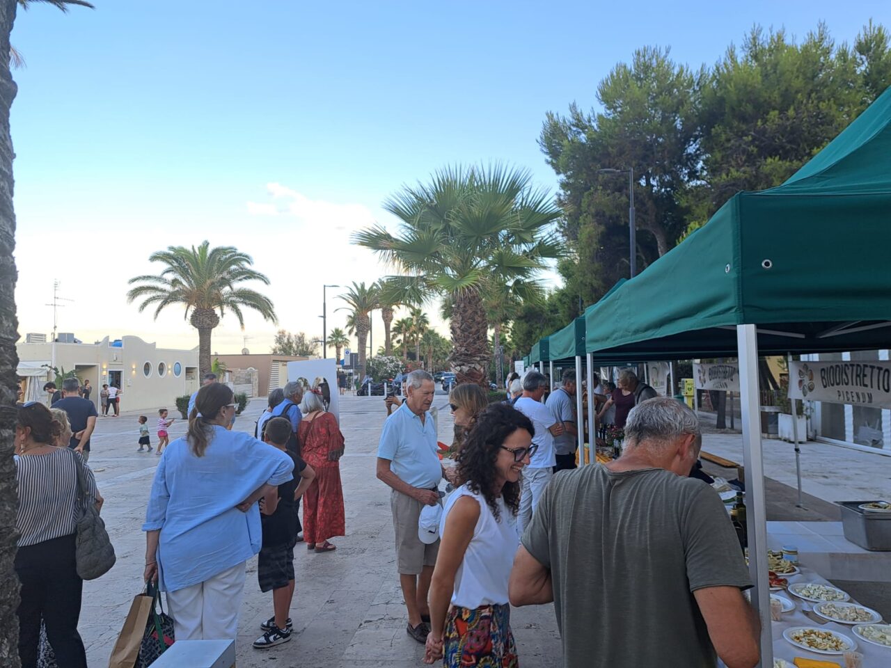 WhatsApp Image 2025-07-08 at 12.35.26