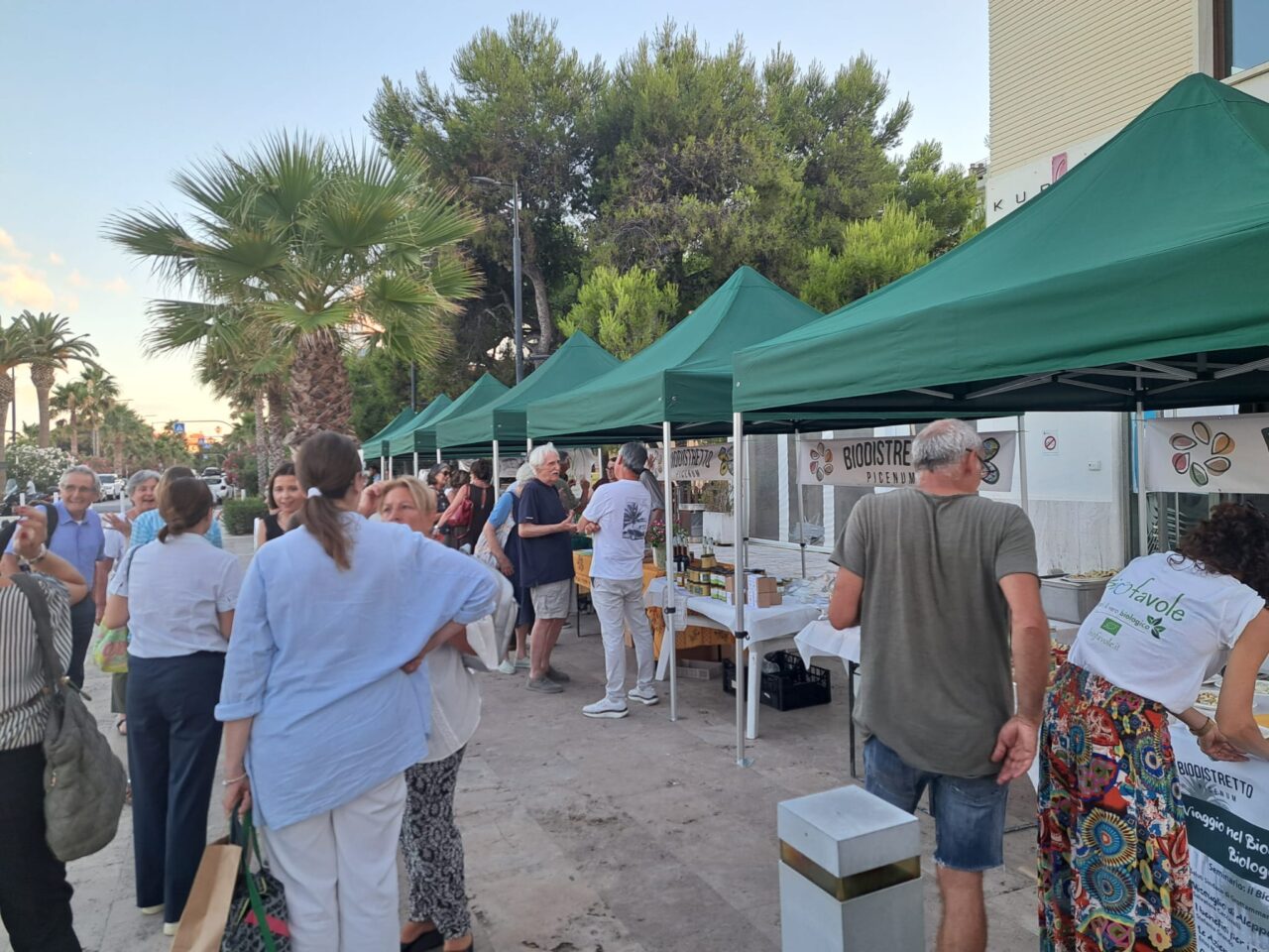 WhatsApp Image 2025-07-08 at 12.35.27