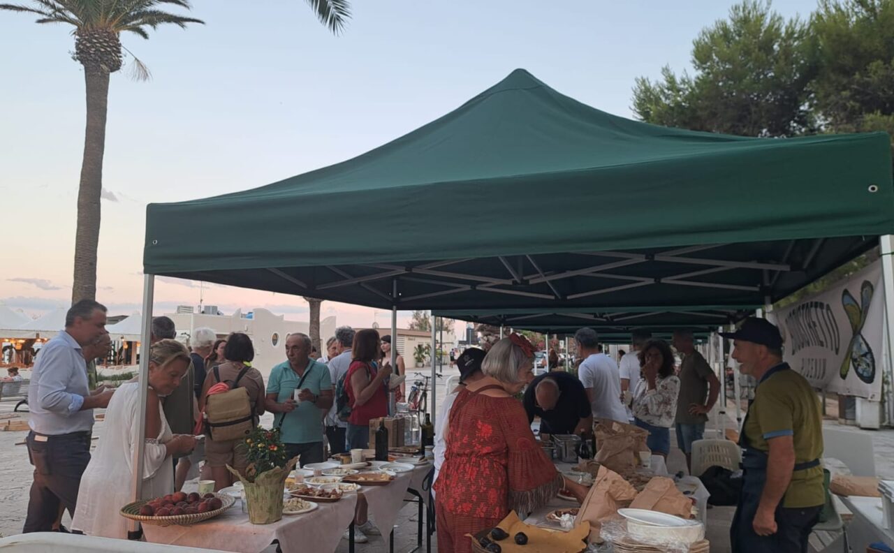 WhatsApp Image 2025-07-08 at 12.35.28