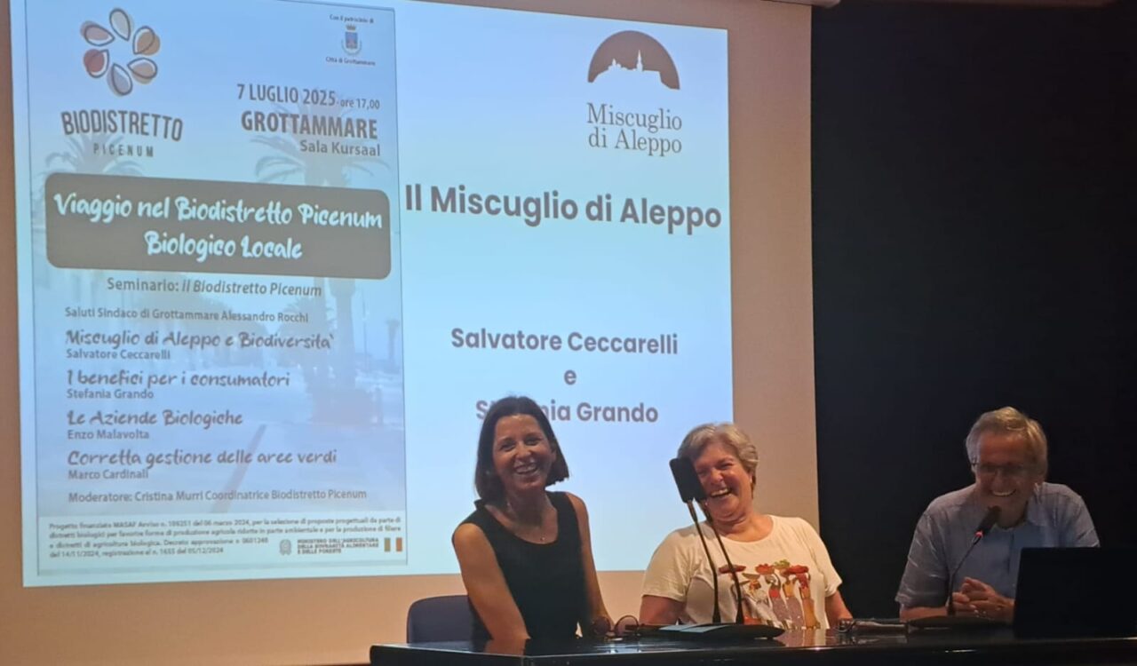 WhatsApp Image 2025-07-08 at 12.41.41