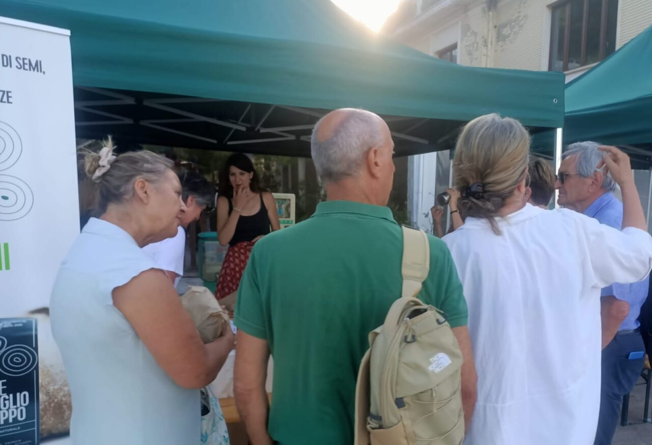 WhatsApp Image 2025-07-08 at 12s.40.54