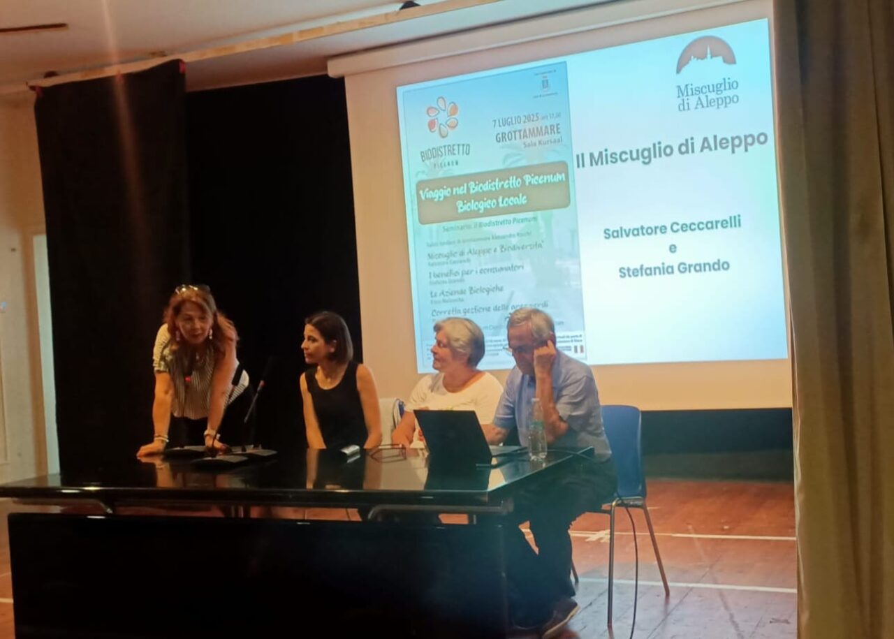 WhatsApp Image 2025-07-08 ats 12.41.41