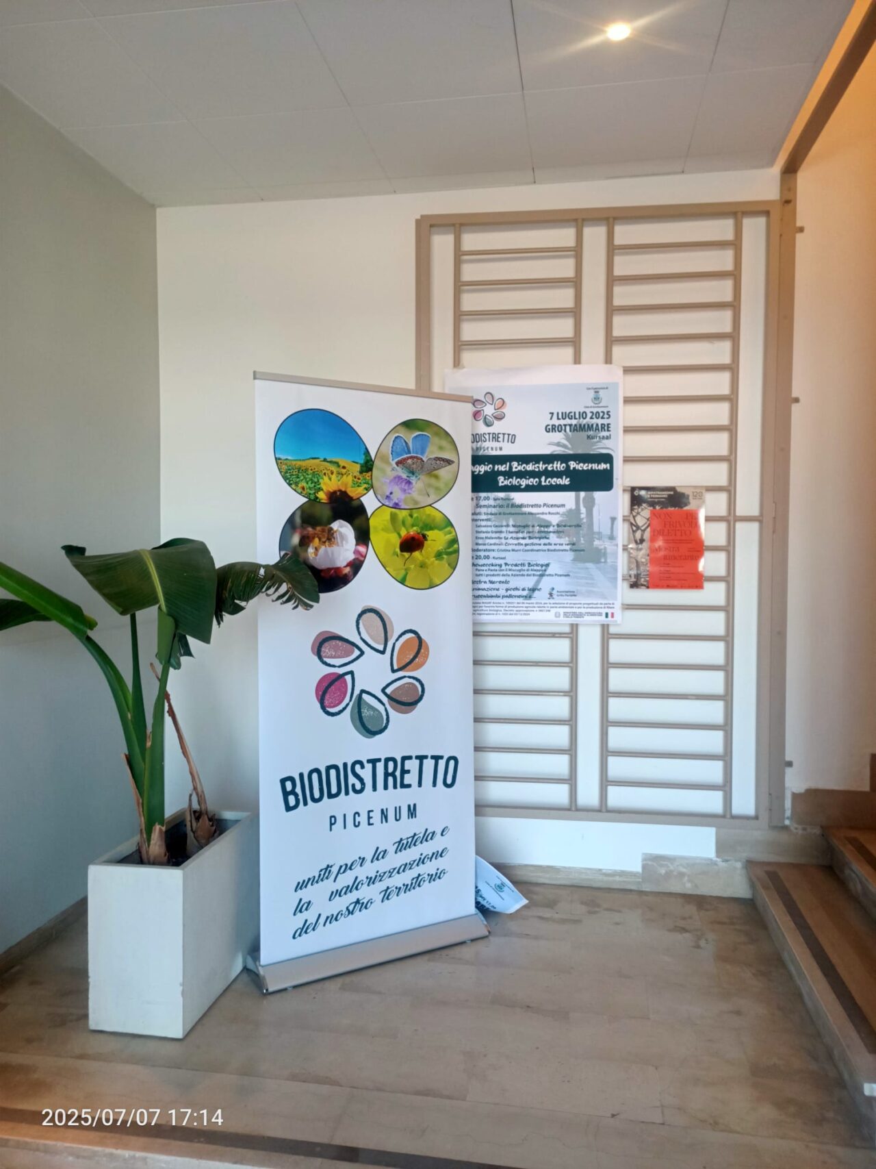 WhatsApp Image 2025-07-08 sat 12.41.42