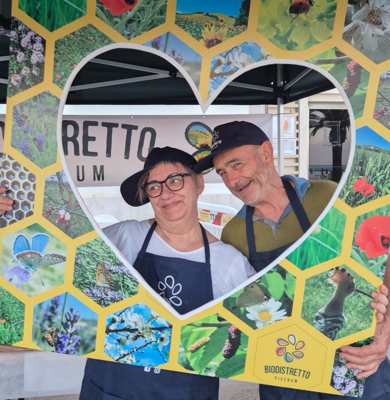 WhatsApp Image 2025-07-08s at 12.40.55