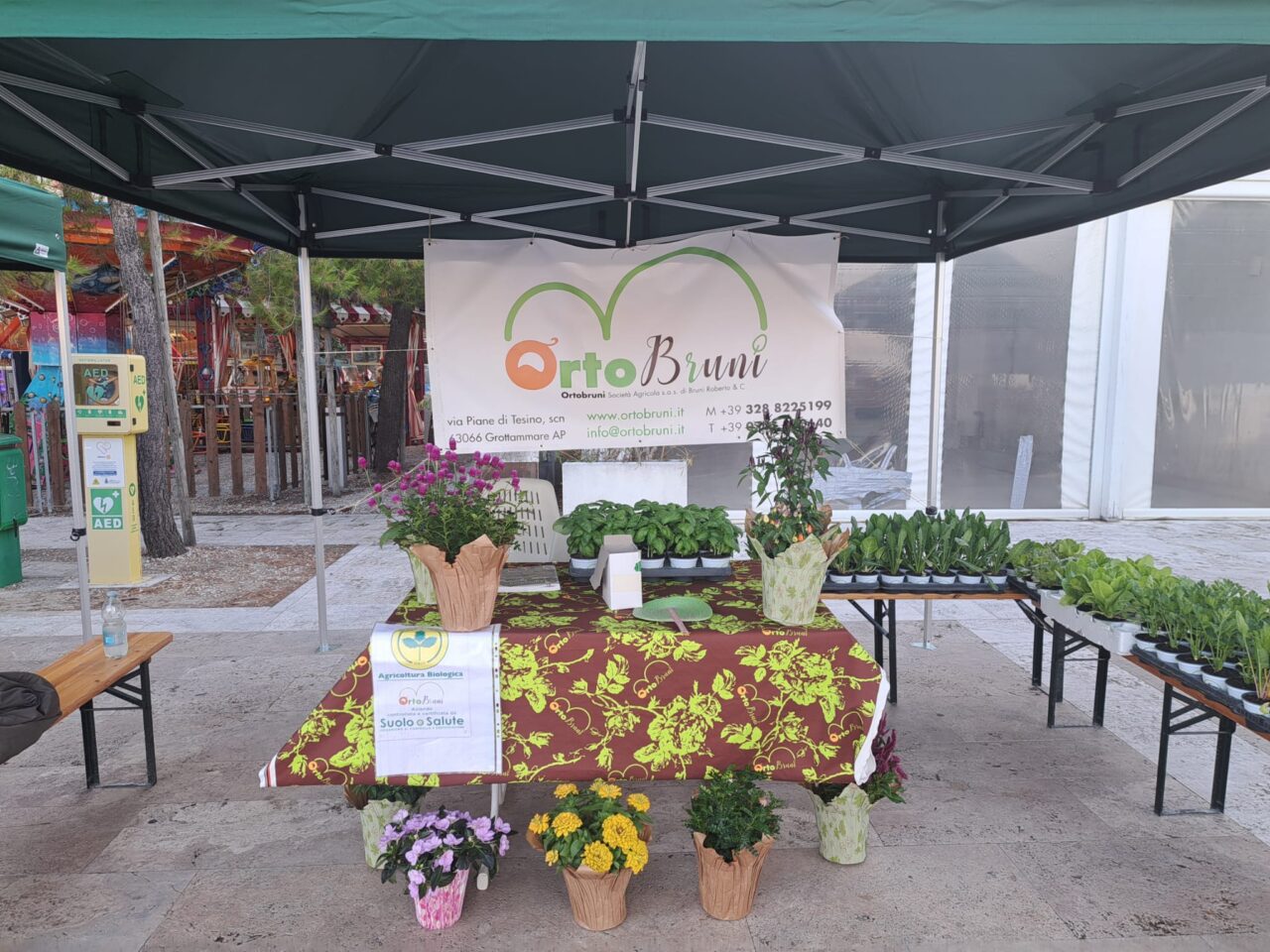 WhatsApp Image 2025-0s7-08 at 12.35.29