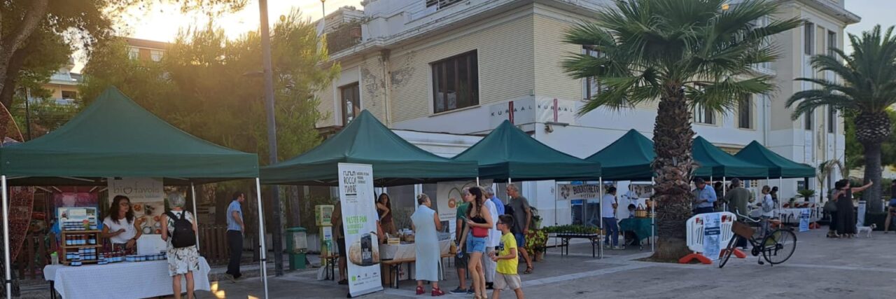 WhatsApp Image 2025-s07-08 at 12.35.30