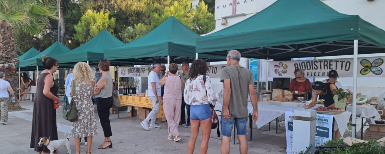 WhatsApp Image 2025-s07-08 at 12.40.53