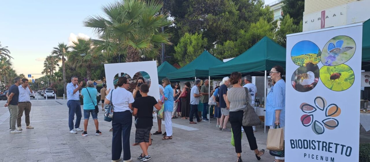 WhatsApp Image 2025s-07-08 at 12.35.28