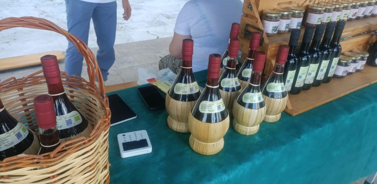 WhatsApp Image 202s5-07-08 at 12.40.54