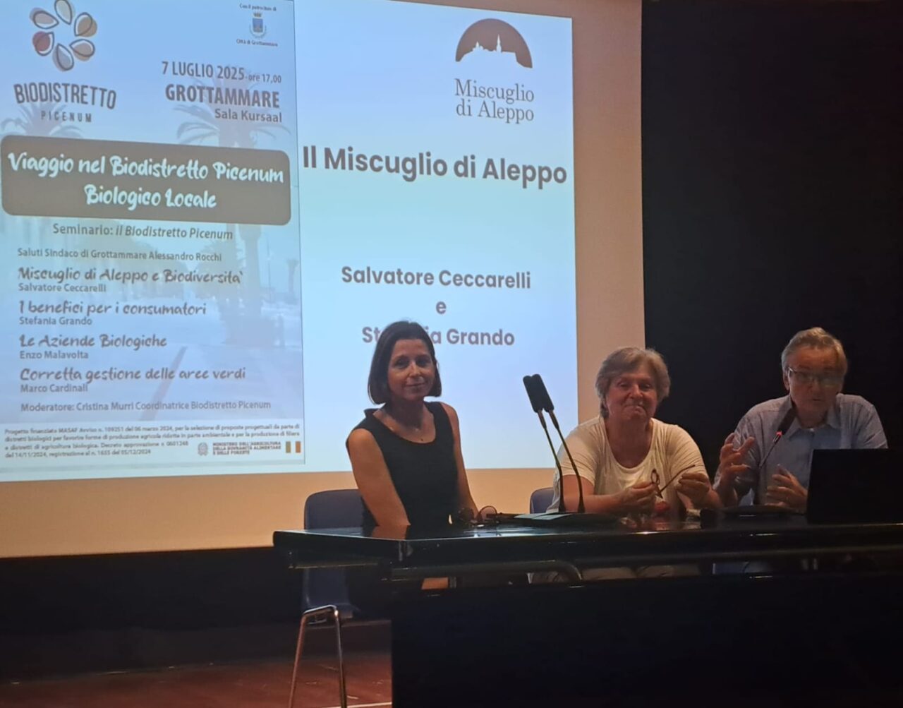 WhatsApp Image 202s5-07-08 at 12.41.40