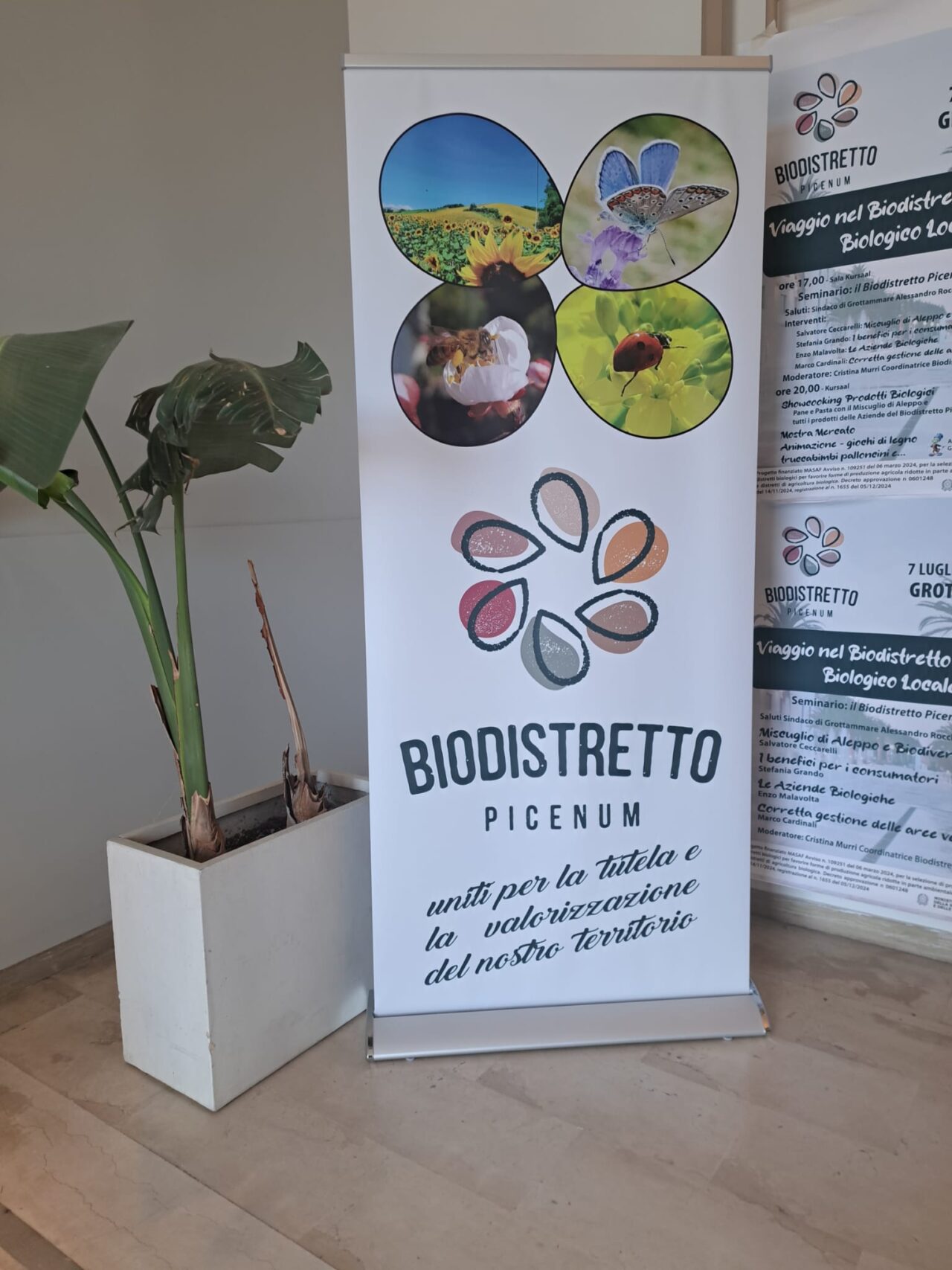 WhatsApp Image 202sqqq5-07-08 at 12.41.42