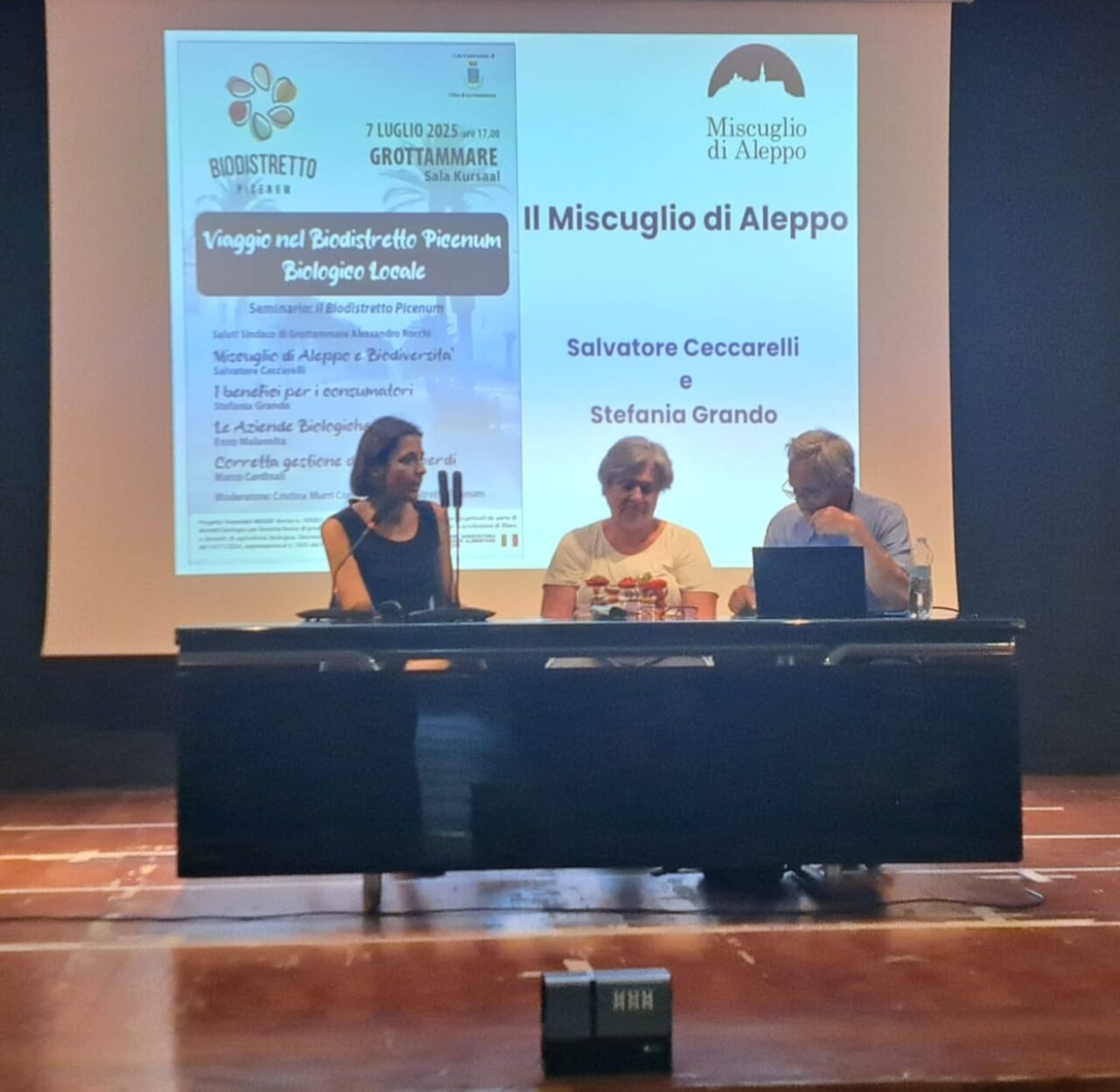 WhatsApp Imagess 2025-07-08 at 12.41.40