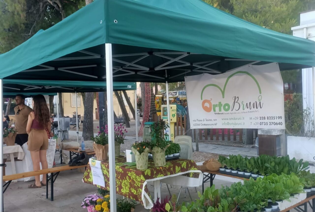 WhatsApp Imasge 2025-07-08 at 12.40.54