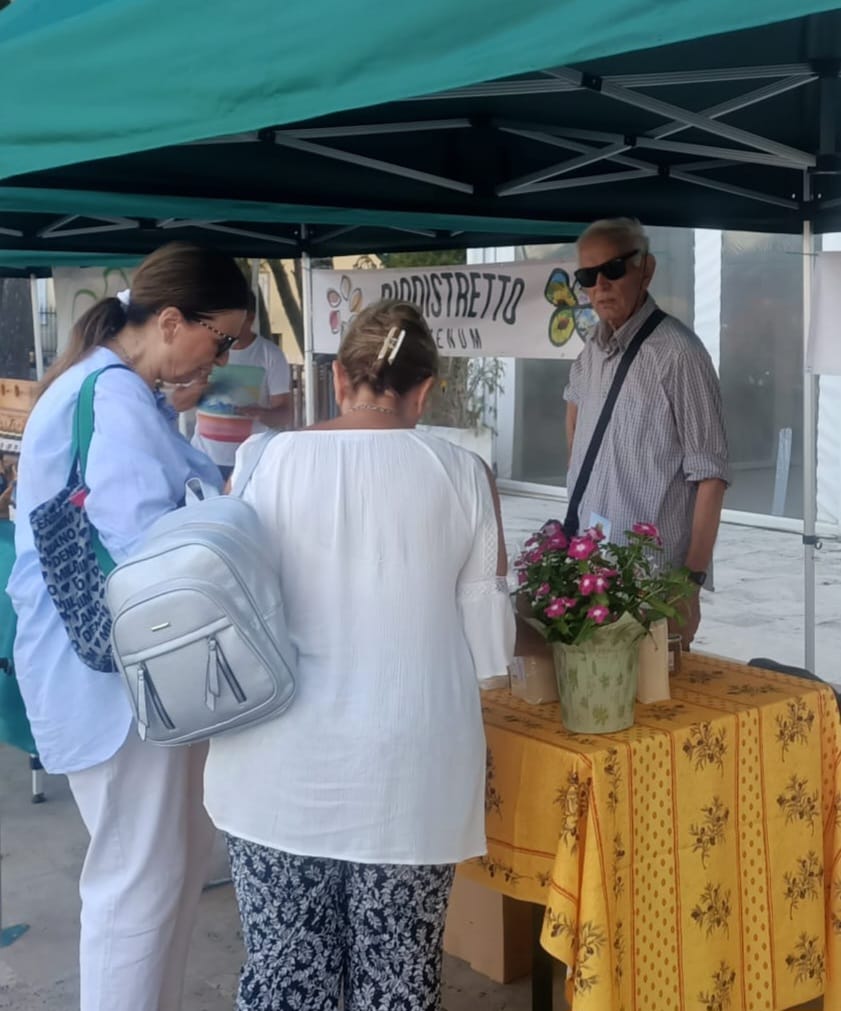 WhatsApp Ismage 2025-07-08 at 12.40.54