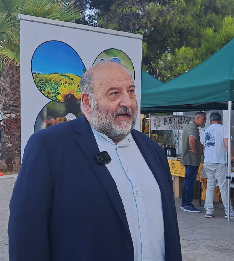 WhsatsApp Image 2025-07-08 at 12.35.28