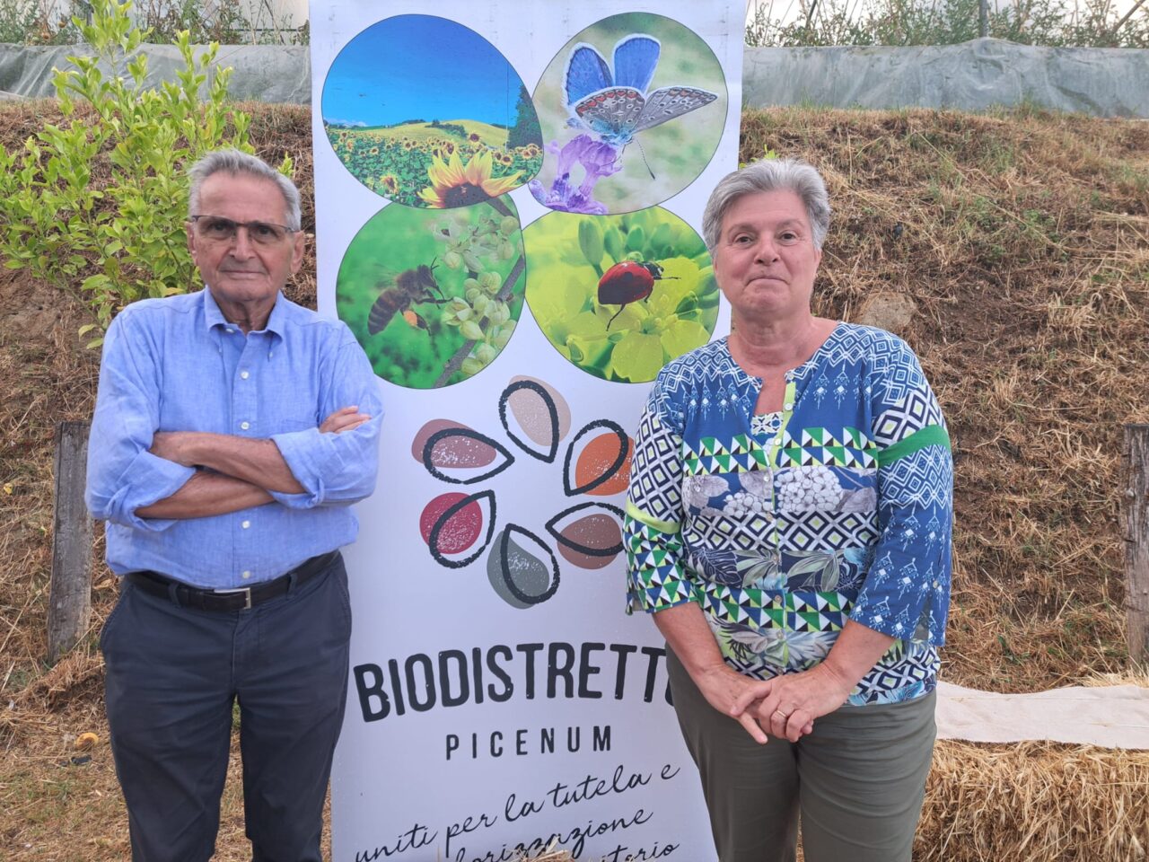 WhatsApp Image 2025-07-29 at 12.52.53(2)