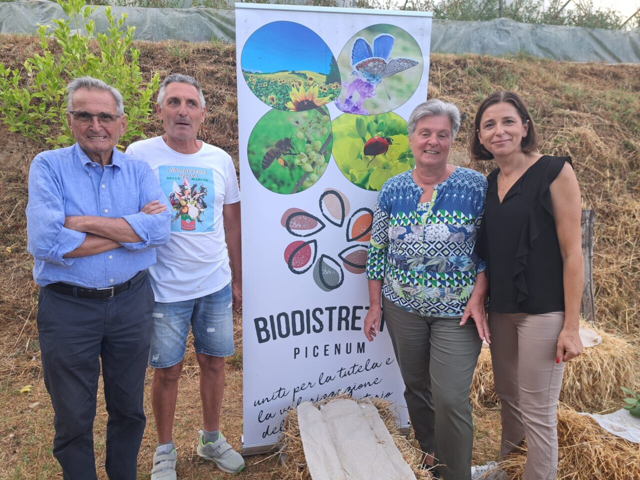 WhatsApp Image 2025-07-29 at 12.52.53(3)