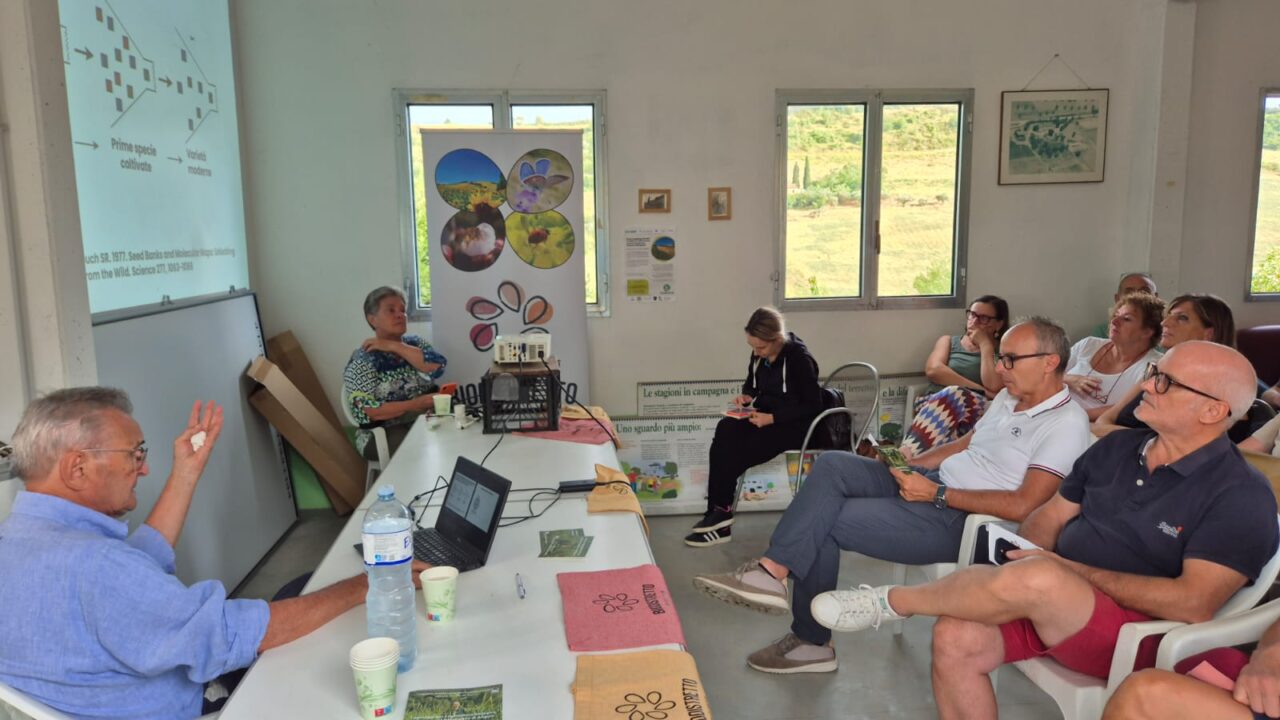 WhatsApp Image 2025-07-29 at 12.54.37(1)