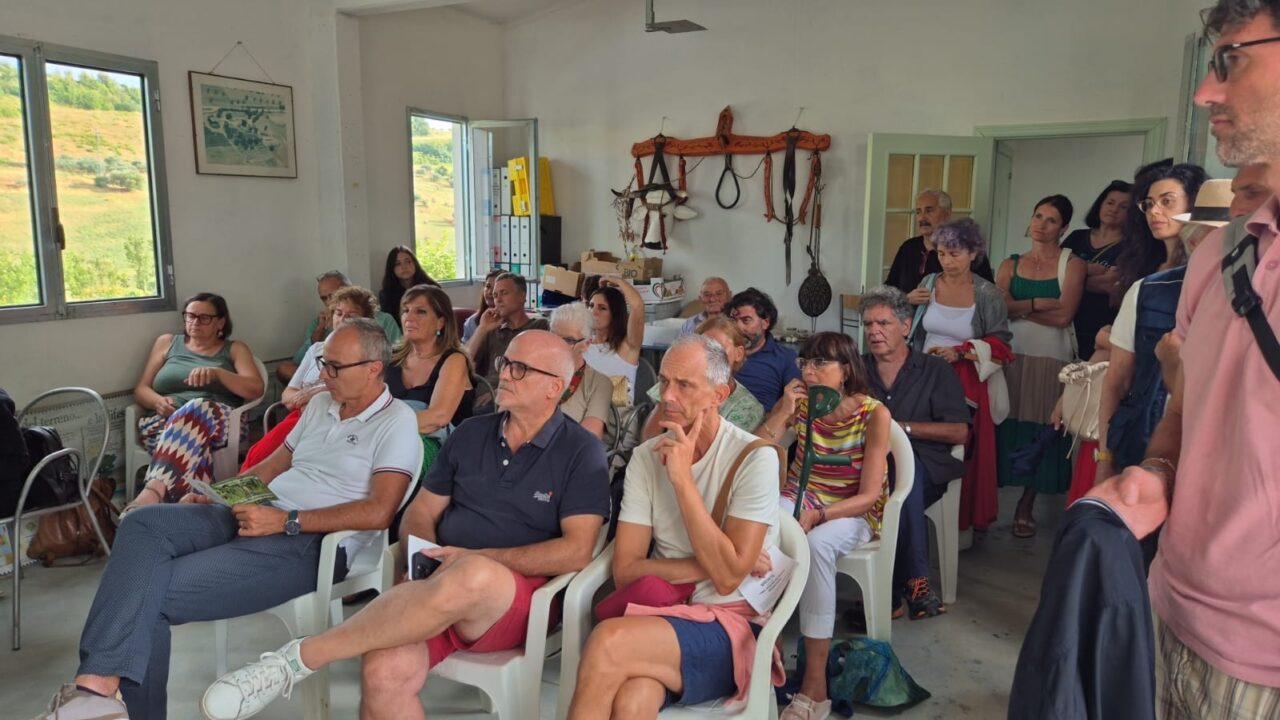 WhatsApp Image 2025-07-29 at 12.54.38(1)