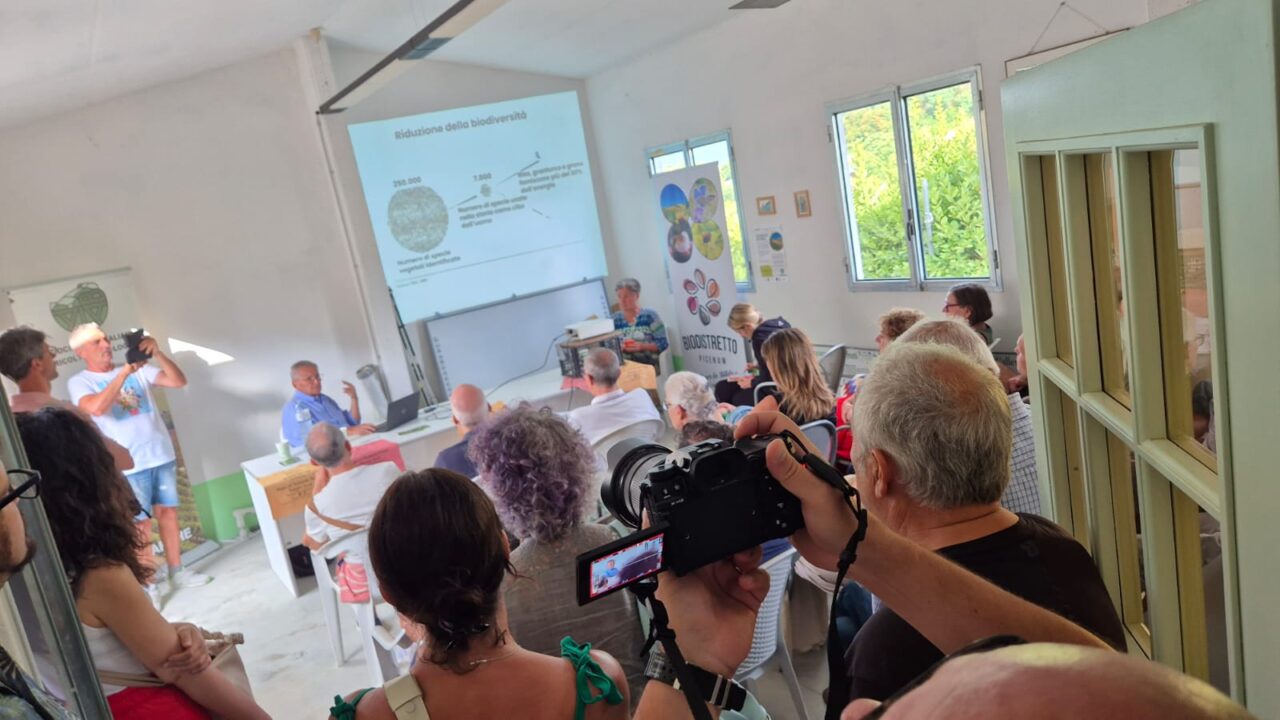 WhatsApp Image 2025-07-29 at 12.54.39(1)