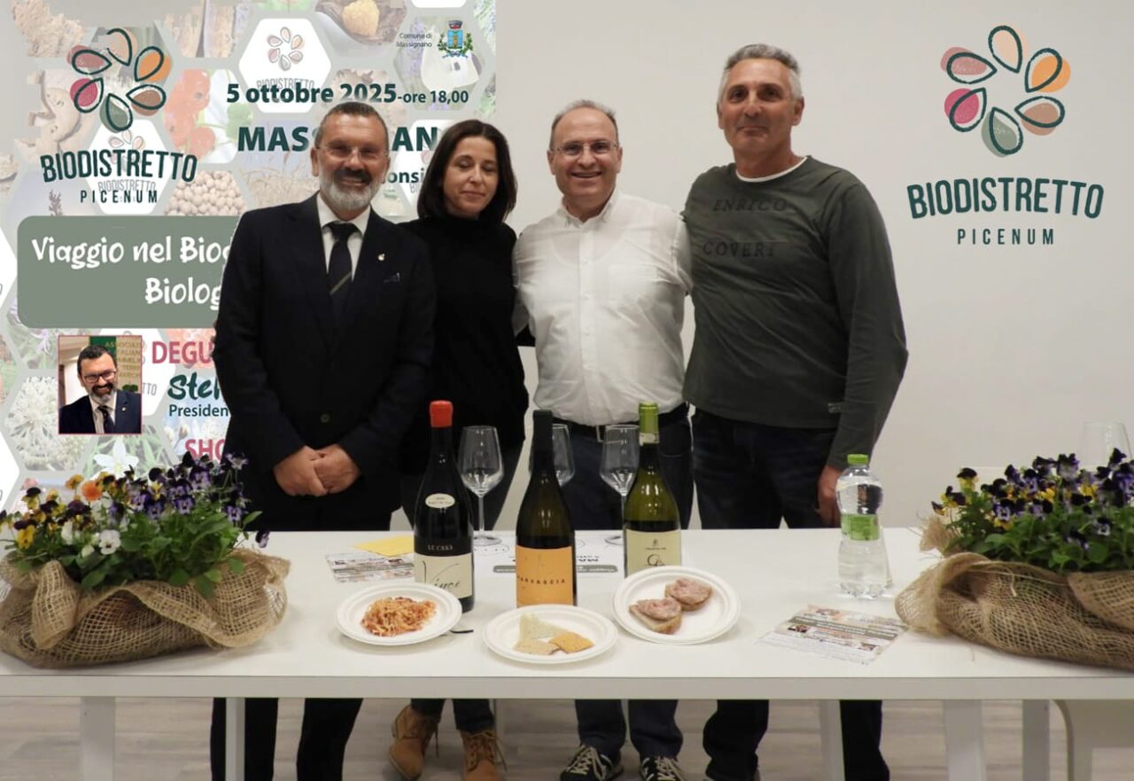 WhatsApp Imagde 2025-10-06 at 14.58.42