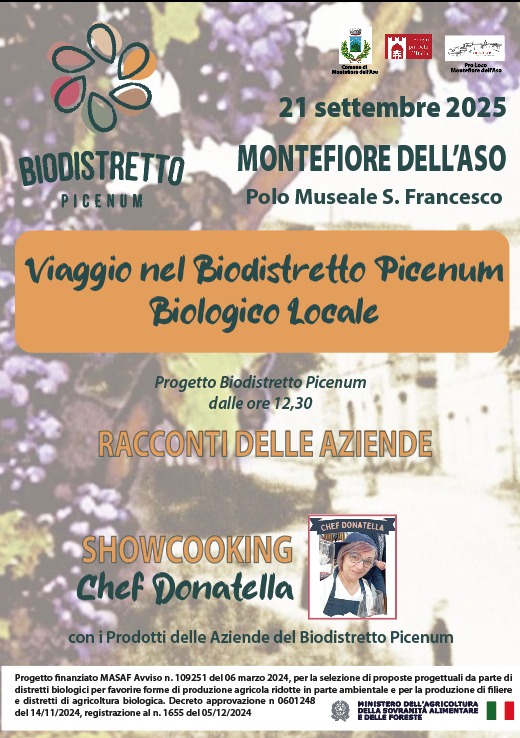 WhatsApp Image 2025-09-05 at 16.20