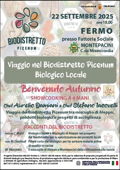 WhatsApp Image 2025-09-05 at 16.20