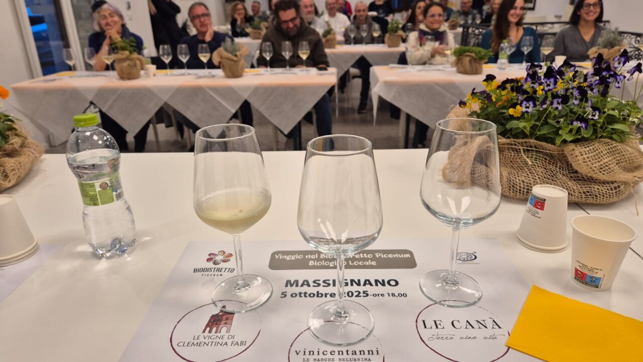 WhatsApp Image 2025-10-06 dat 14.58.25