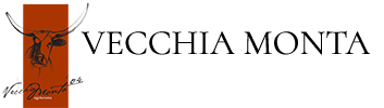 LA VECCHIA MONTA