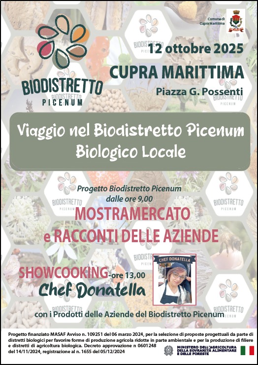 WhatsApp Image 2025-10-06 at 14.56