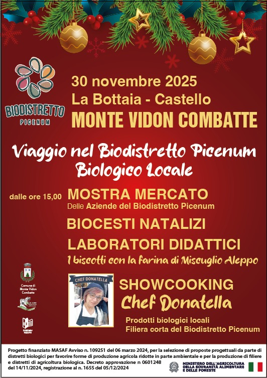 WhatsApp Image 2025-11-17 at 12.48