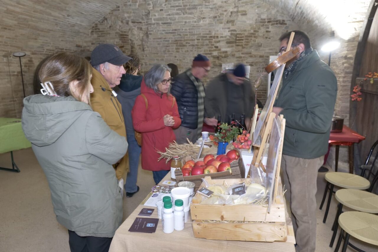 WhatsApp Image 2025-12-09 at 12.19.44