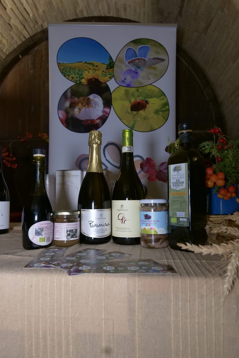 WhatsApp Image 2025-12-09 at 12.19.45