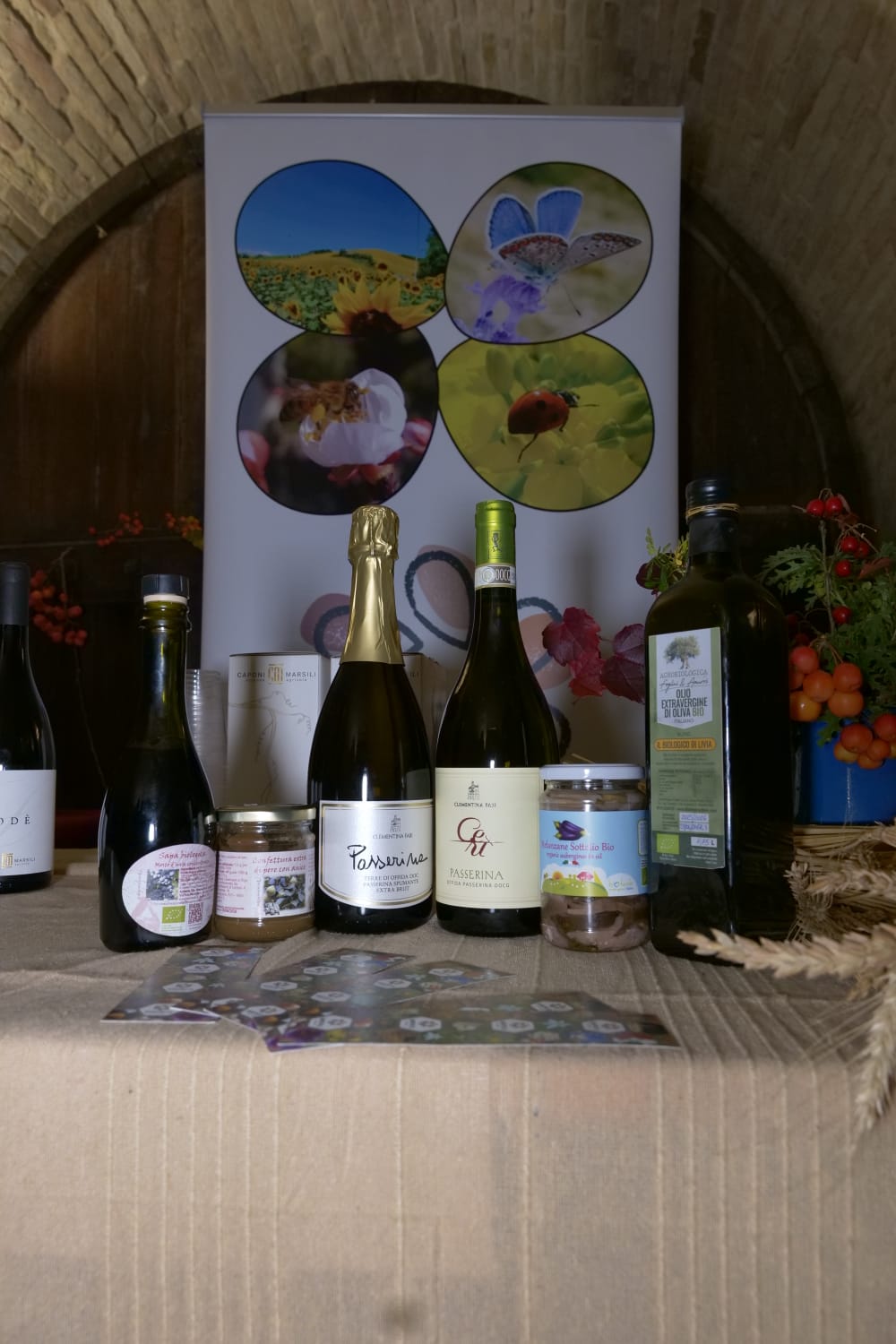 WhatsApp Image 2025-12-09 at 12.19.46 (1)