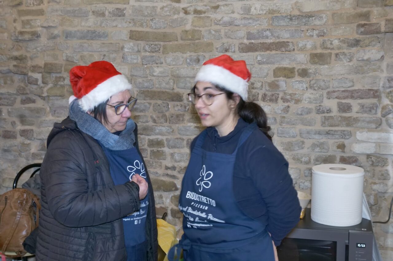 WhatsApp Image 2025-12-09 at 12.19.46