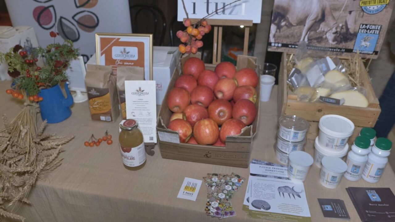 WhatsApp Image 2025-12-09 at 12.19.53