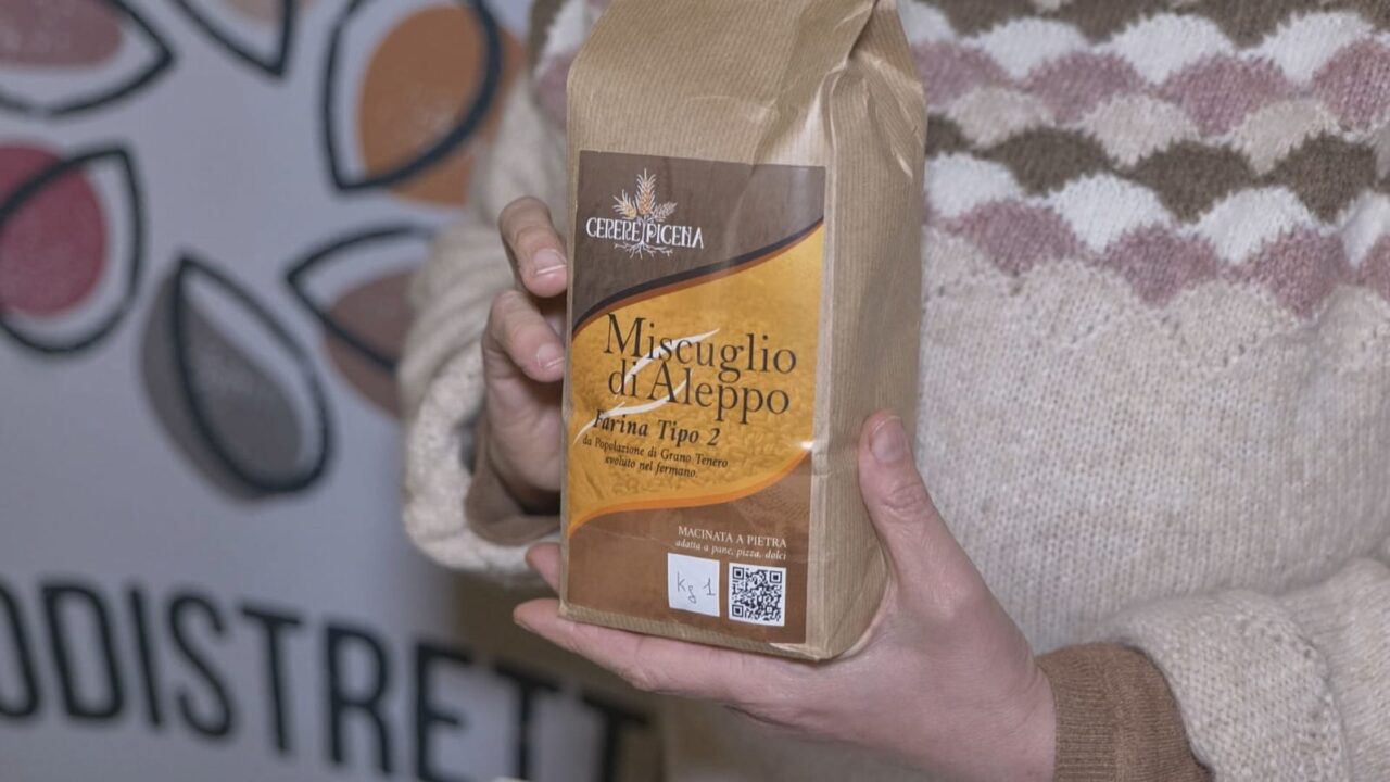 WhatsApp Image 2025-12-09 at 12.19.54