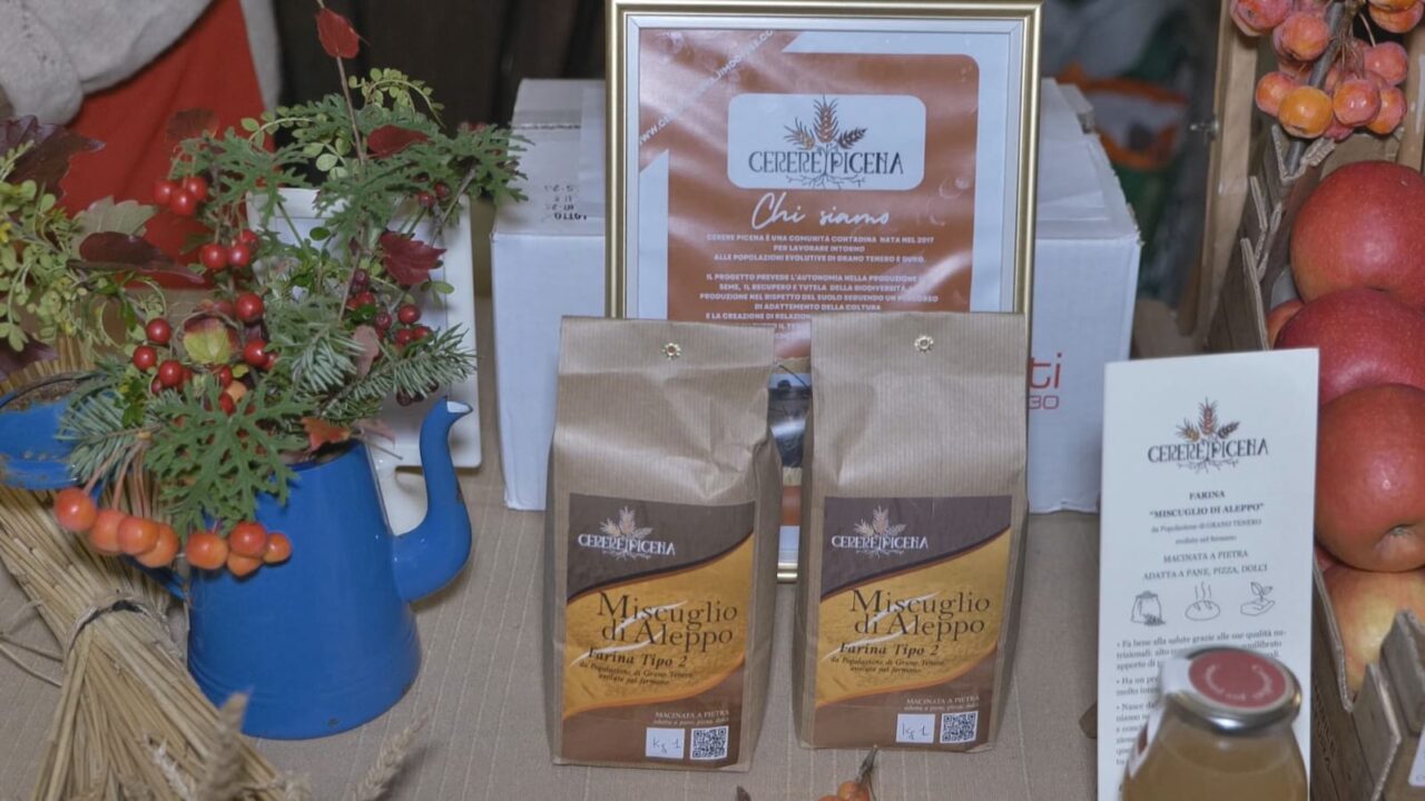 WhatsApp Image 2025-12-09 at 12.19.55