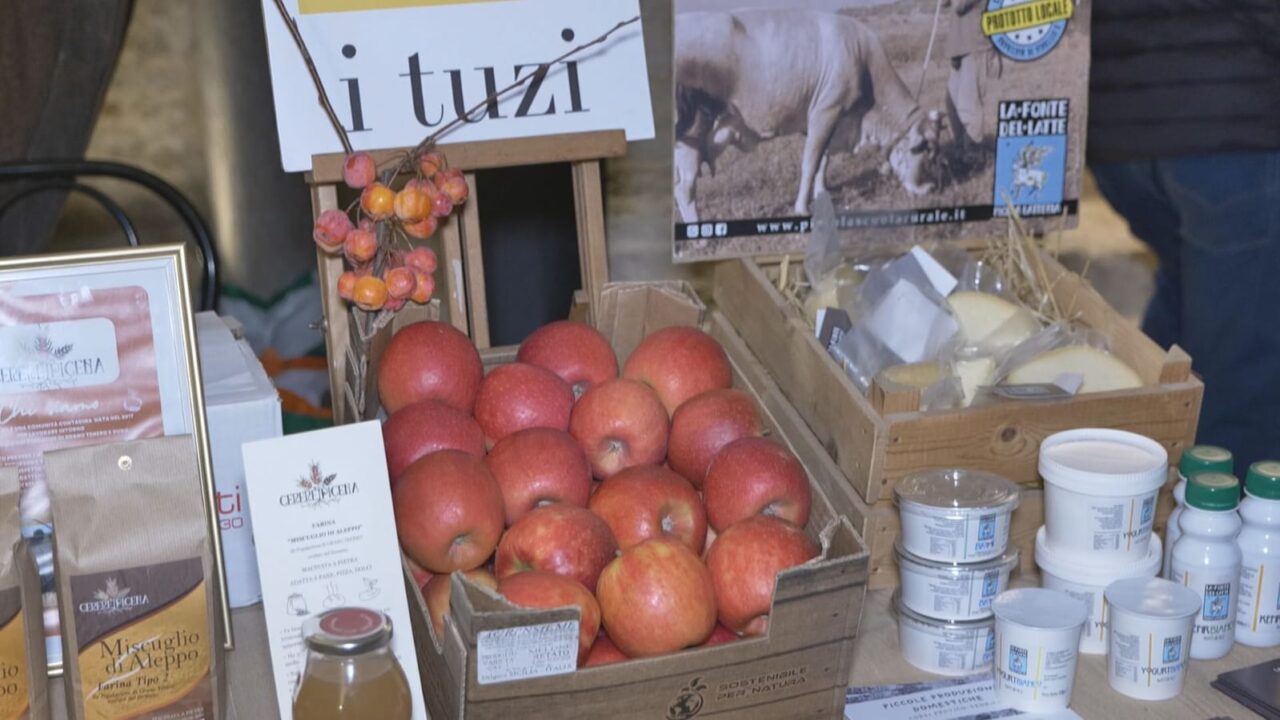 WhatsApp Image 2025-12-09 at 12.19.56