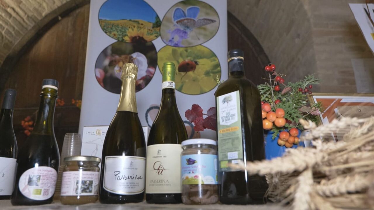 WhatsApp Image 2025-12-09 at 12.19.57 (2)