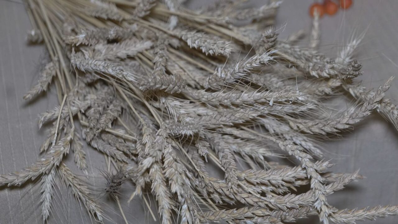 WhatsApp Image 2025-12-09 at 12.19.58