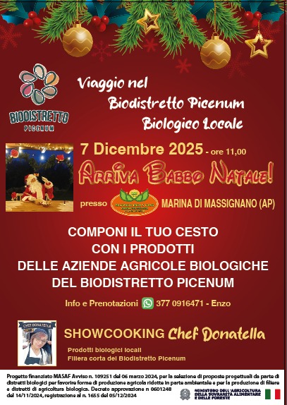 WhatsApp Image 2025-12-01 at 08.39