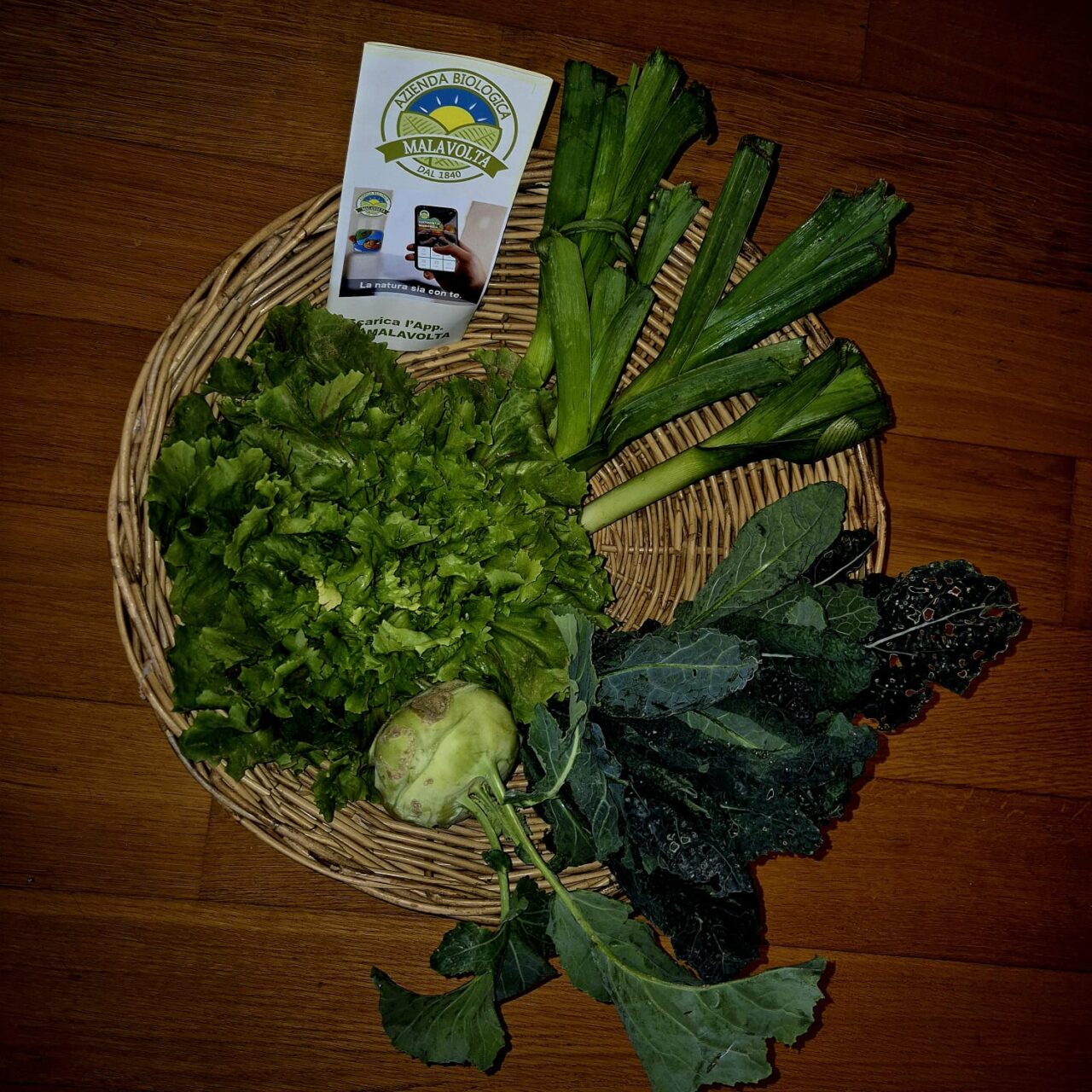 WhatsApp Image 2025-12-01 at 08.40.59