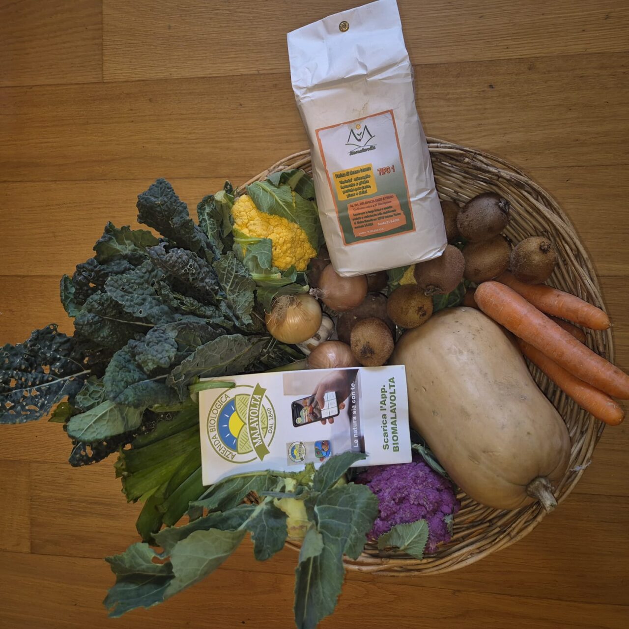 WhatsApp Image 2025-12-01 at 08.41.00