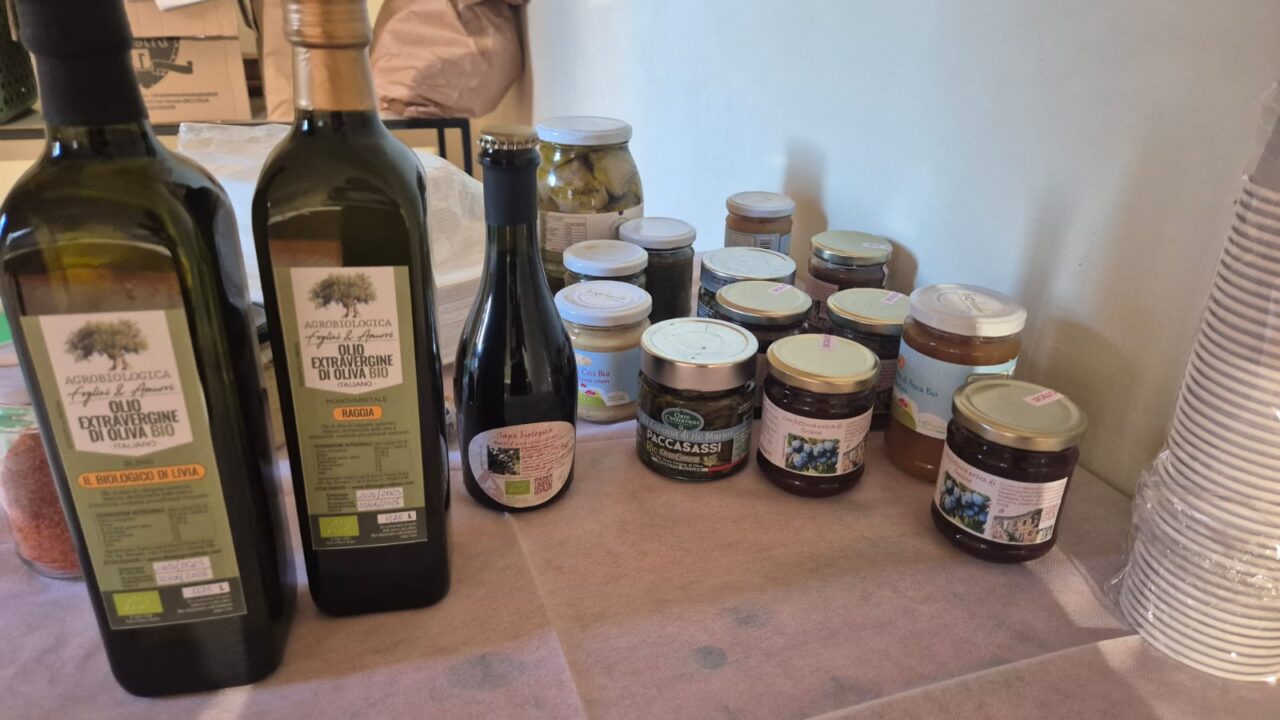 WhatsApp Image 2025-12-01 at 08.48.50