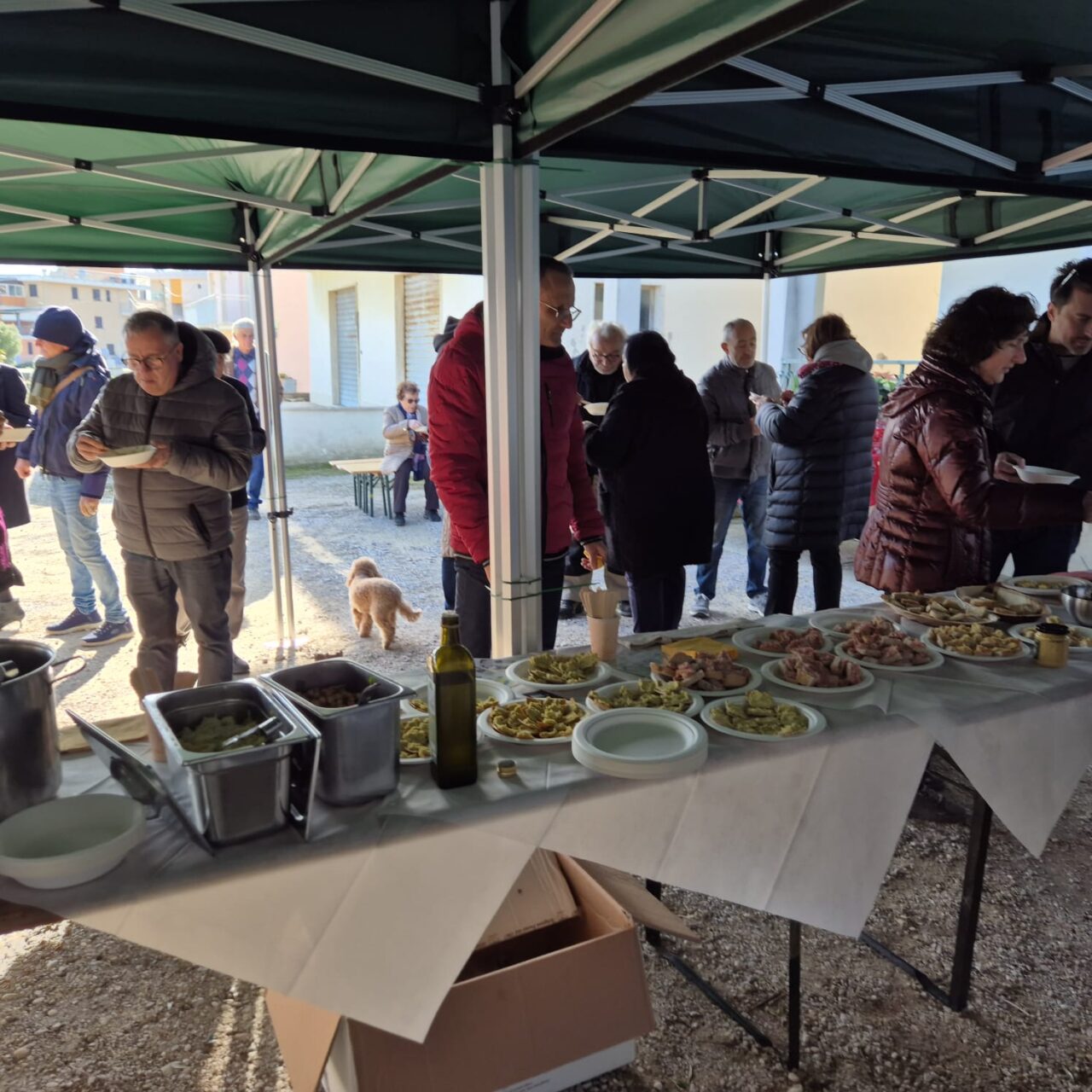 WhatsApp Image 2025-12-09 at 16.45.42 (1)