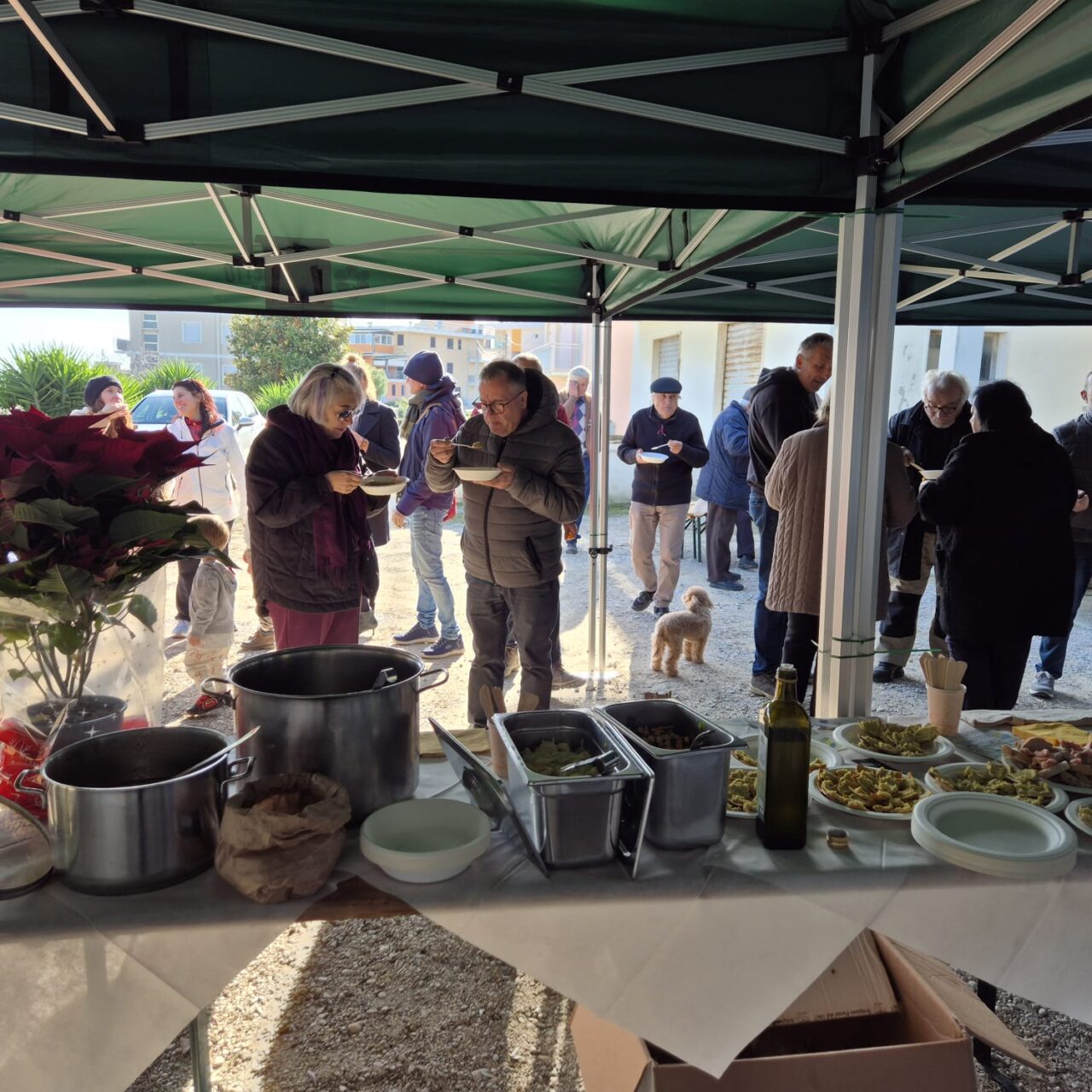 WhatsApp Image 2025-12-09 at 16.45.42