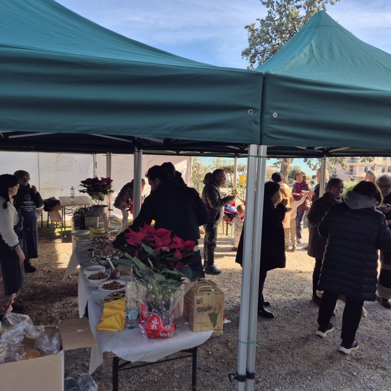 WhatsApp Image 2025-12-09 at 16.45.43 (1)