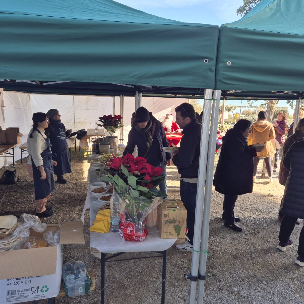 WhatsApp Image 2025-12-09 at 16.45.43